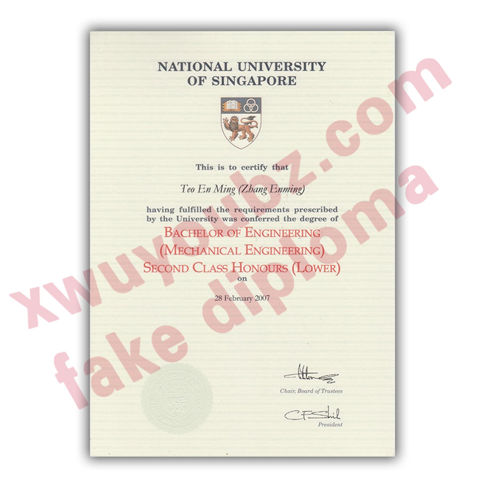 新加坡国立大学文凭(National University of Singapore diploma)原版制作