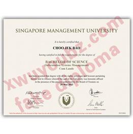 新加坡管理大学文凭(Singapore Management University diploma)原版制作