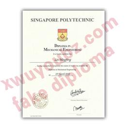 新加坡理工学院文凭(Singapore polytechnic diploma sample)