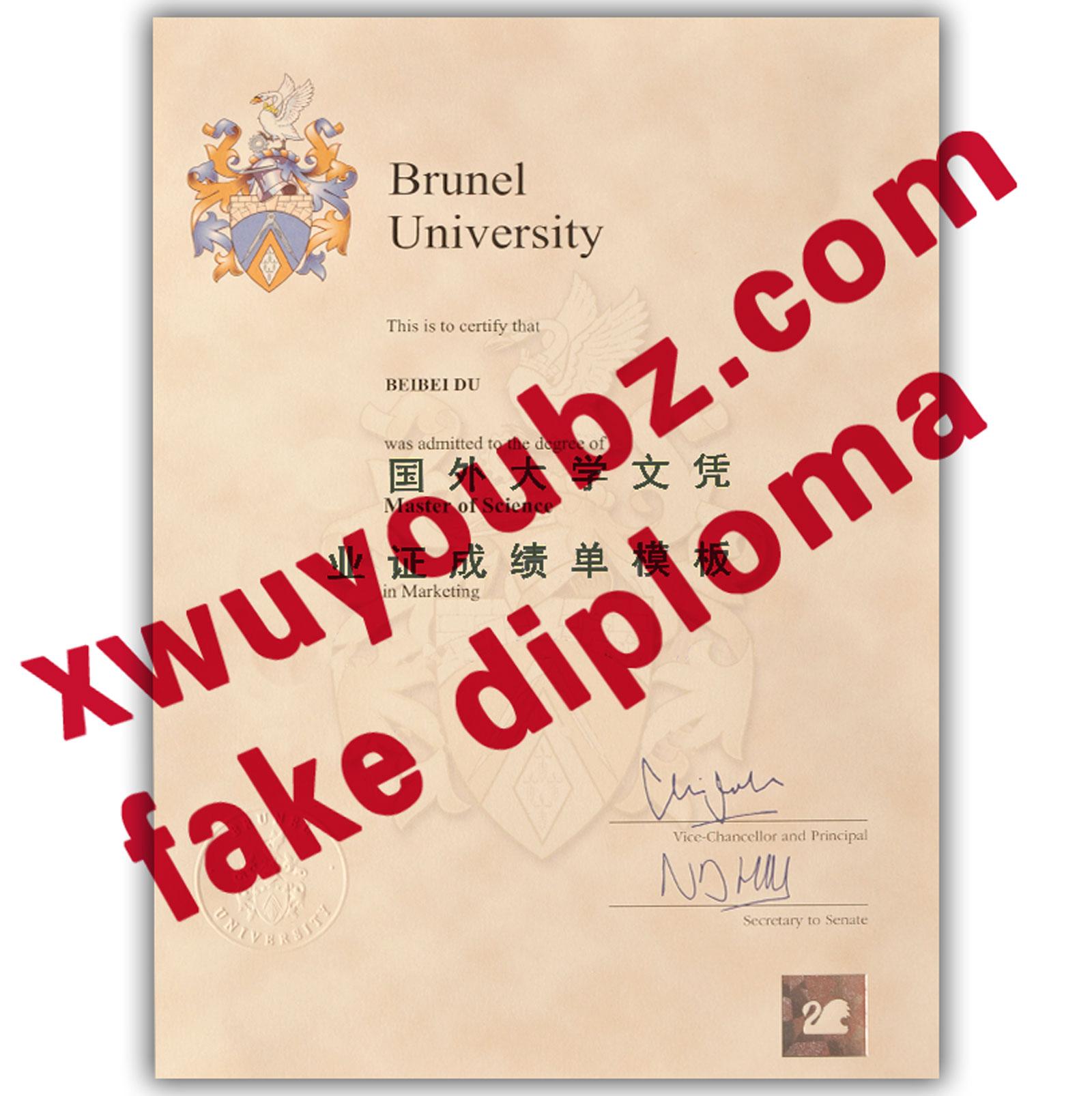 Brunel diploma