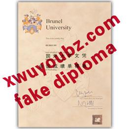 布鲁内尔大学文凭 （University of Brunel diploma）