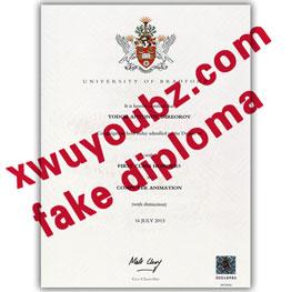 南安普顿索伦特大学文凭(Diploma from Southampton solent university)
